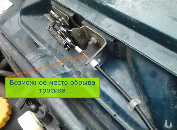 Выбор
