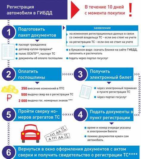 Основные