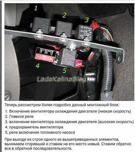 Будущие